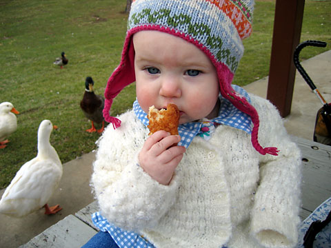 ducks